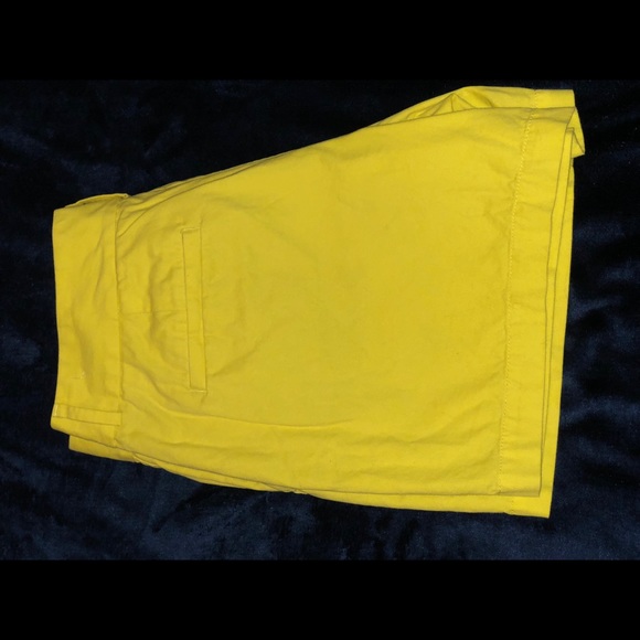 Ann Taylor LOFT Riviera Shorts - Picture 5 of 5